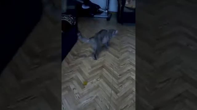 Мячики смотреть онлайн