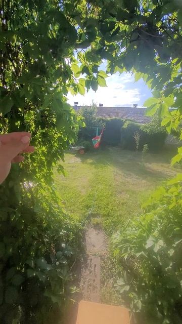 Васька смотреть онлайн