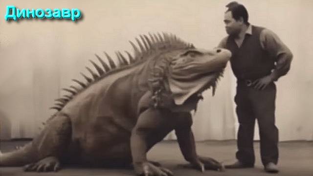 Ответы на Вопросы по Эзотерике от 30.05.25 смотреть онлайн