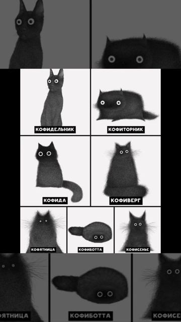Мемы про котиков смотреть онлайн