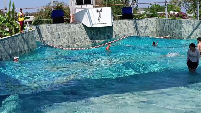 Аквапарк Dolusu