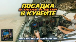 В ПЫЛЬ И ВЕТЕР! Посадка самолета Боинг 737 в Кувейте | #небесные истории #авиация