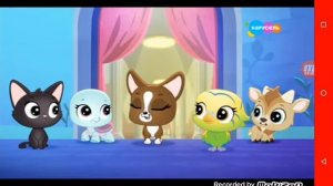 Маленький зоомагазин тайный мир питомцев 20 серия