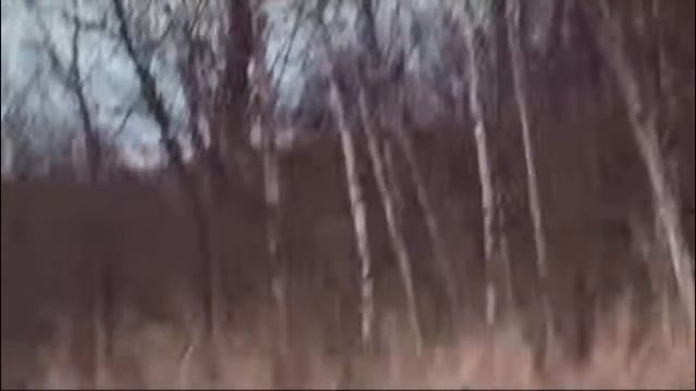 Прода из VK // Декстер // МОЮ СЕСТРУ ПОХИТИЛИ! НО ЕЁ ПАРЕН?