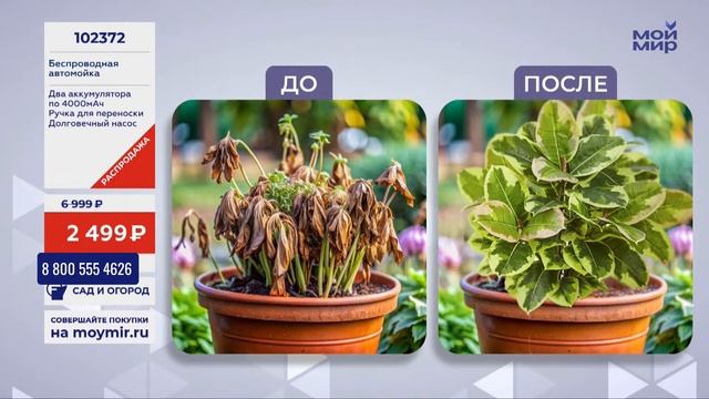 Прямая трансляция пользователя Мой Мир