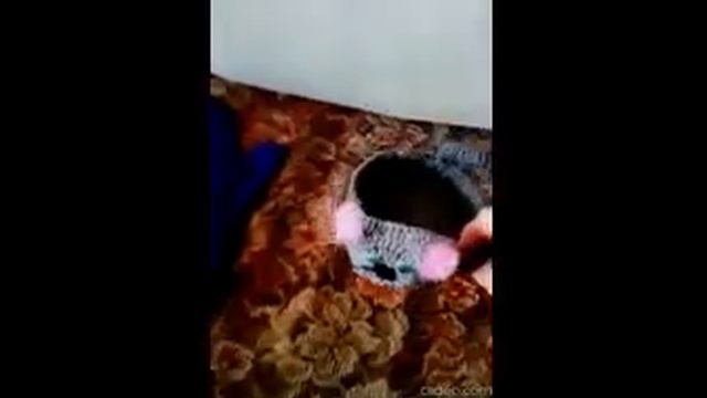 Вязанные изделия смотреть онлайн