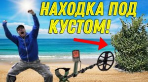 Жирная НАХОДКА в КУСТАХ на Городском ПЛЯЖЕ очень ПОРАДОВАЛА НАС, Почаще бы так ВЕЗЛО