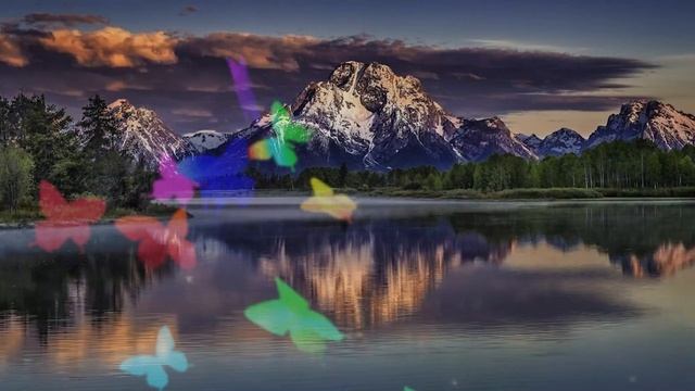 Здесь будет жить моя бывшая жена с ребенком. Рявкнул ж?