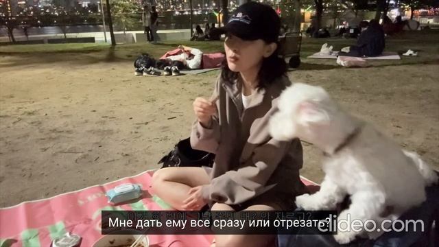 RED VELVET СЫЛЬГИ, И ЕЩЁ ОДИН ПРЕКРАСНЫЙ ДЕНЬ ! ЛИЧНЫЙ ВИДЕО БЛОГ )= СУБ ЕСТЬ! смотреть онлайн