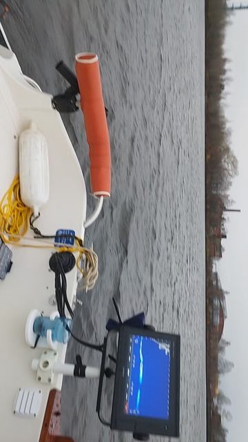 VID_20241108_152230 смотреть онлайн