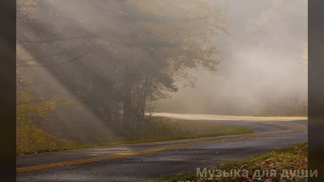 Невероятно красивая песня, новинка февраль 2025