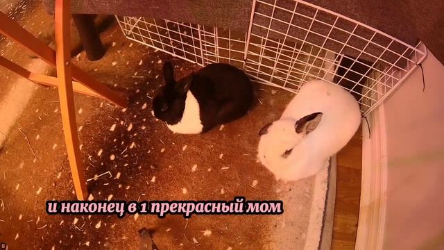 Моя ЖЕНА ИЗМЕНИЛА мне дважды. Или больше... - Удивительн смотреть онлайн