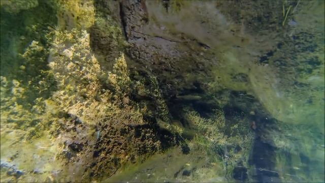 На границе миров