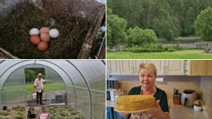 ПЕКУ "ЖАРЕНЫЙ ТОРТ"ИЛИ "ТОРТ НА СКОВОРОДЕ". ПРОВЕРЕННЫЙ РЕЦЕПТ ИЗ СТАРОЙ ЗАПИСНОЙ КНИЖКИ.