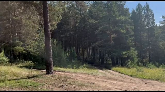 Участок под туризм в Белорецке — сосновый лес, рядом горнолыжные курорты смотреть онлайн