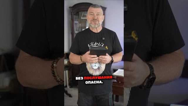 Миха смотреть онлайн