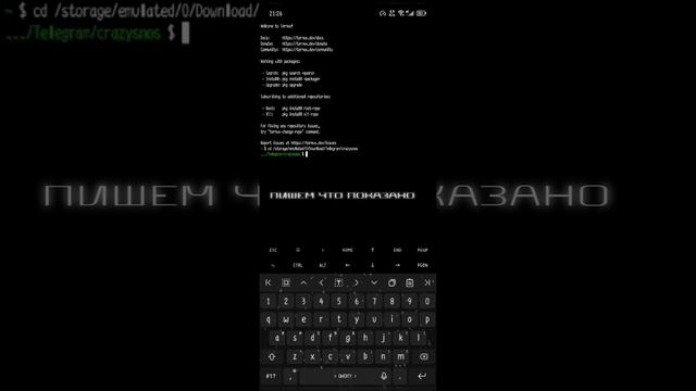 ТУТОР НА CRAZYSNOS ТЕРМУКС #coding #термукс #python #soft #termux #programming смотреть онлайн