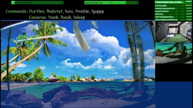 Моя пьяная жена призналась, что она не привлекается ко