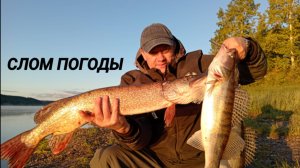 ДОЖДЬ СНЕГ ВЕТЕР РЫБАЛКА НА РЕЗИНКУ МАЙ 2025 (5 СЕРИЯ)