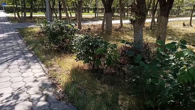 У тебя уже взрослая дочь, она съедет, а в твоей квартир?