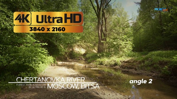 БИТЦЕВСКИЙ ЛЕС, РЕЧКА ЧЕРТАНОВКА 4К UHD. ЗАСТАВКА ДЛЯ ТВ. (3840x2160). Живая природа и звук.