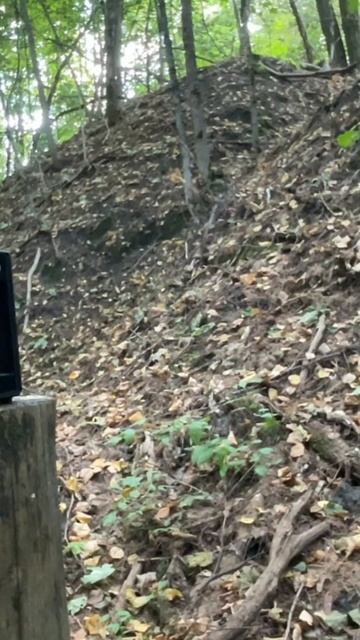 Скажений Flobert #shorts