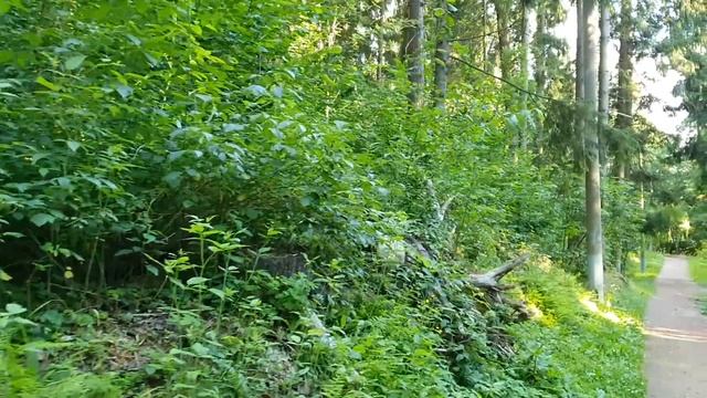 Новый день / Лена LIFE / Оксана в шоке от Юры! / Обзор влого