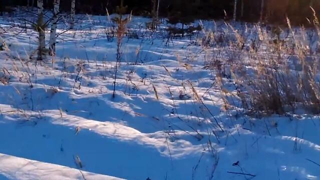 Наталья катается в день рождения смотреть онлайн