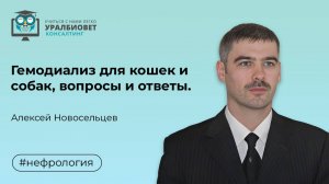 Гемодиализ для кошек и собак, вопросы и ответы. Лектор Алексей Новосельцев