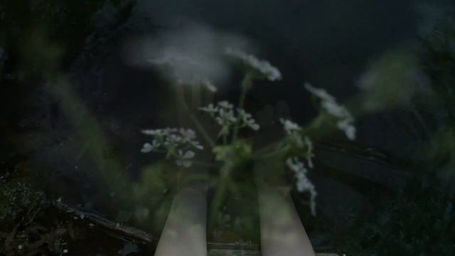 КИНОАЛЬМАНАХ «56 – 126 – 16» О РУССКОМ КИНЕМАТОГРАФЕ | 56МАФИЯ смотреть онлайн