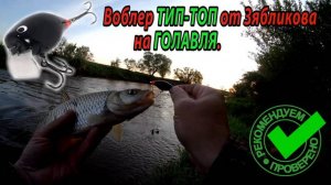 Ещё один уловистый воблер на голавля от Зябликова. Воблер ТИП-ТОП - голавля ловит.