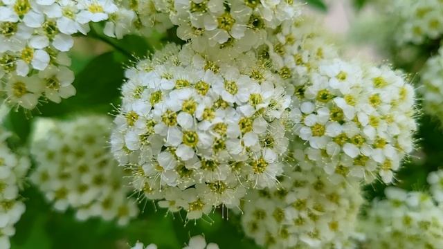 Раз мы решили жить вместе в твоей квартире, то я хочу п? смотреть онлайн