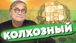 КОЛХОЗНЫЙ ДОМ · ПРОЕКТ ПЕТРУШИ / №437