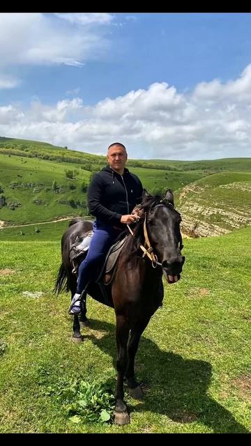 Владимир Курский на конной прогулке. Кавказ - Гордость России! #курский #музыка #кавказ смотреть онлайн