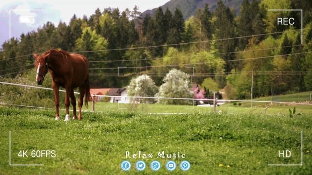 Хорошая музыка!Самая красивая мелодия на свете!Эту му?