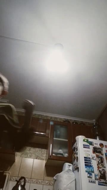 а у меня есть котя его имя Саша а фамилия Котя смотреть онлайн