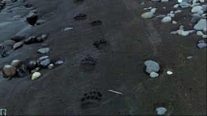 Юрий Визбор - Песня об осени