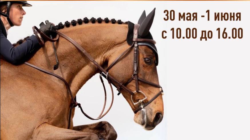 1 место. Барьеры 60 см. 30.05.2025 г.😍👍💯💝💥🐴