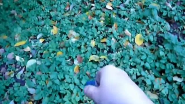 Флиппер: токсик+подшипник смотреть онлайн