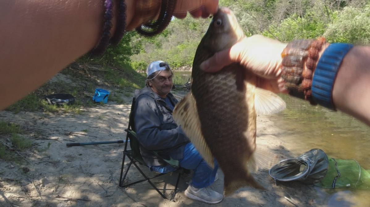 ЖОР КАРАСЯ НА ДИКОЙ РЕКЕ смотреть онлайн