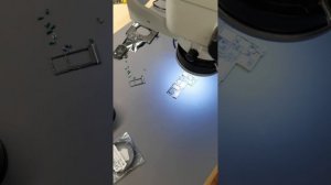 Линза Барлоу для микроскопа, для чего нужна?