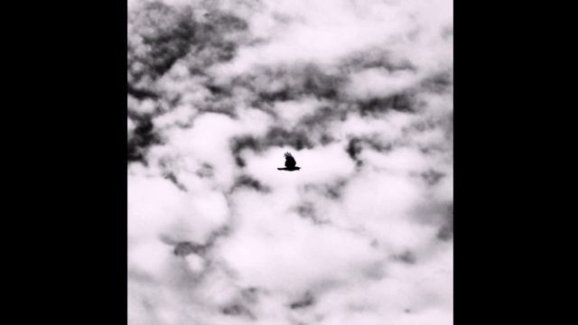 НЧРК - не сдувая пыль смотреть онлайн