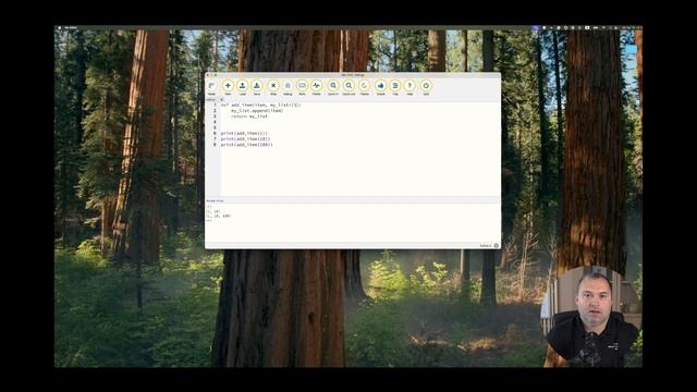 Особенности работы со значениями параметров функции ?