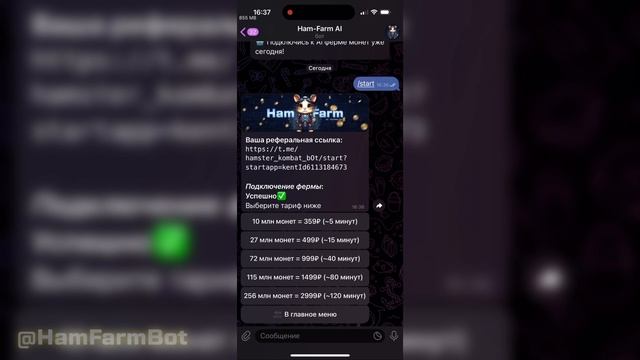 КАК ВЗЛОМАТЬ ХОМЯКА НА МОНЕТЫ ?? / КАК ПОЛУЧИТЬ МОНЕТЫ В HAMSTER KOMBAT