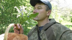 УШЁЛ В ЛЕС ЗА ГРИБАМИ! Грибы природа и лес!