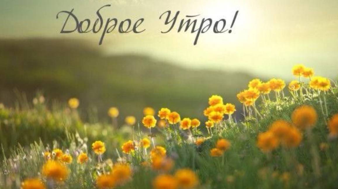 С Добрым Утром☕️ Музыкальная Открытка С Добрым Утром  #первыйденьлета #лето2025
