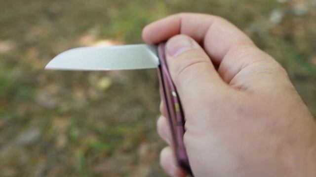 Суслика видишь? А он есть / Десертный CH1006❗️