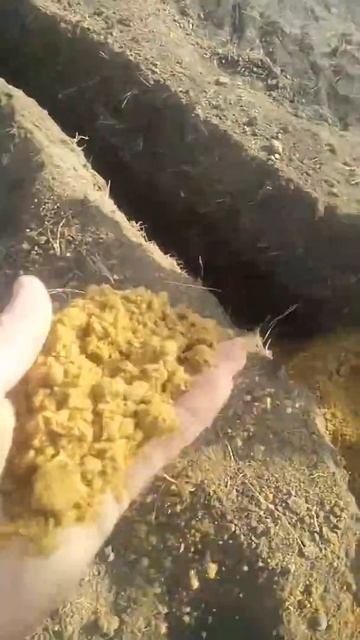 Песок в цвет золото