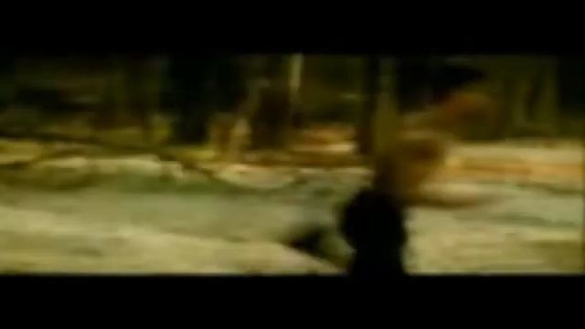 Kurtlar Vadisi & долина волков & водии гургон