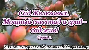 Сад Железовых. Мощный снегопад и град - сад жив! Серия 1.